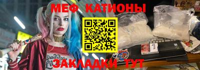 индика Кингисепп