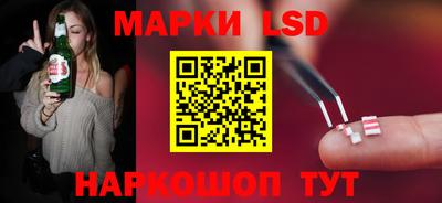 индика Кингисепп