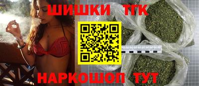 индика Кингисепп