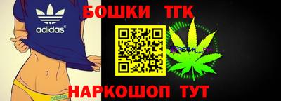 индика Кингисепп
