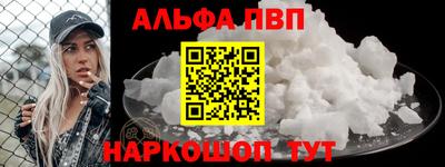 индика Кингисепп