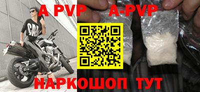 индика Кингисепп