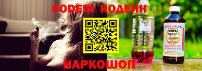 индика Кингисепп