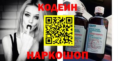 индика Кингисепп