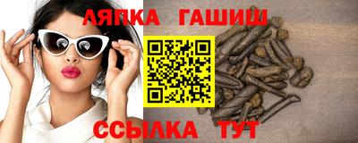 индика Кингисепп