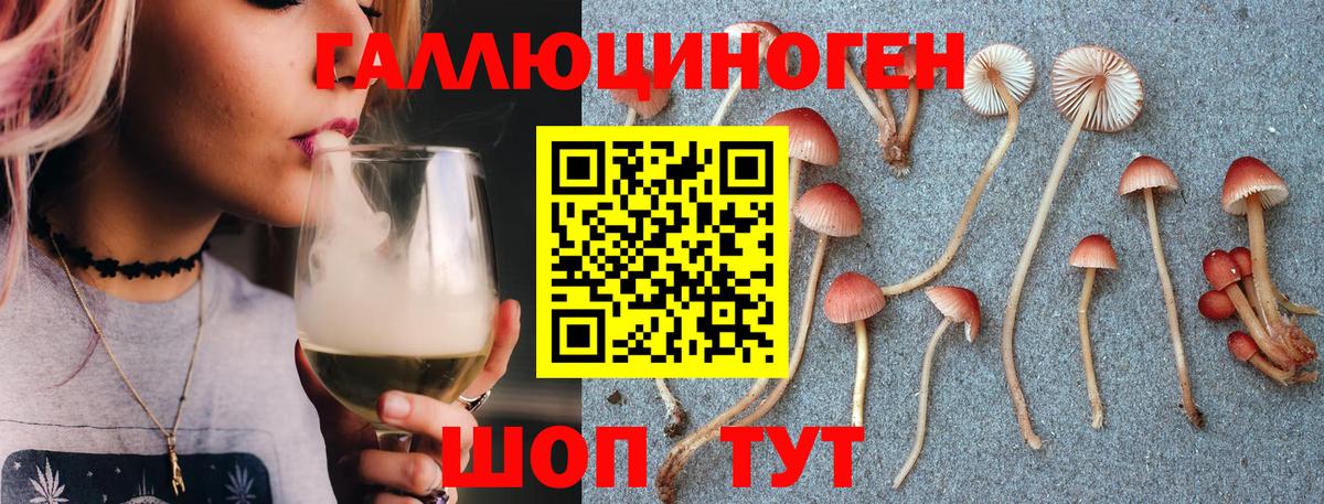 Псилоцибиновые грибы Psilocybine cubensis  Вход с VPN  закладка  Галлюциногенные грибы ЛСД  Курск 